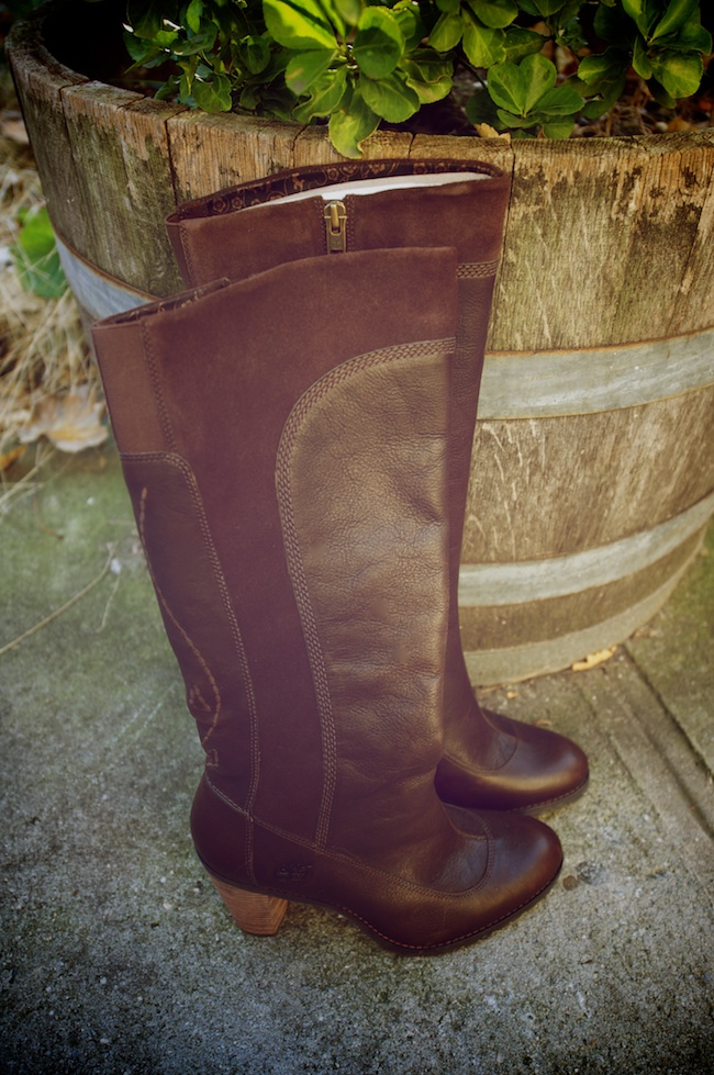 free timberlands — archive photograph 1