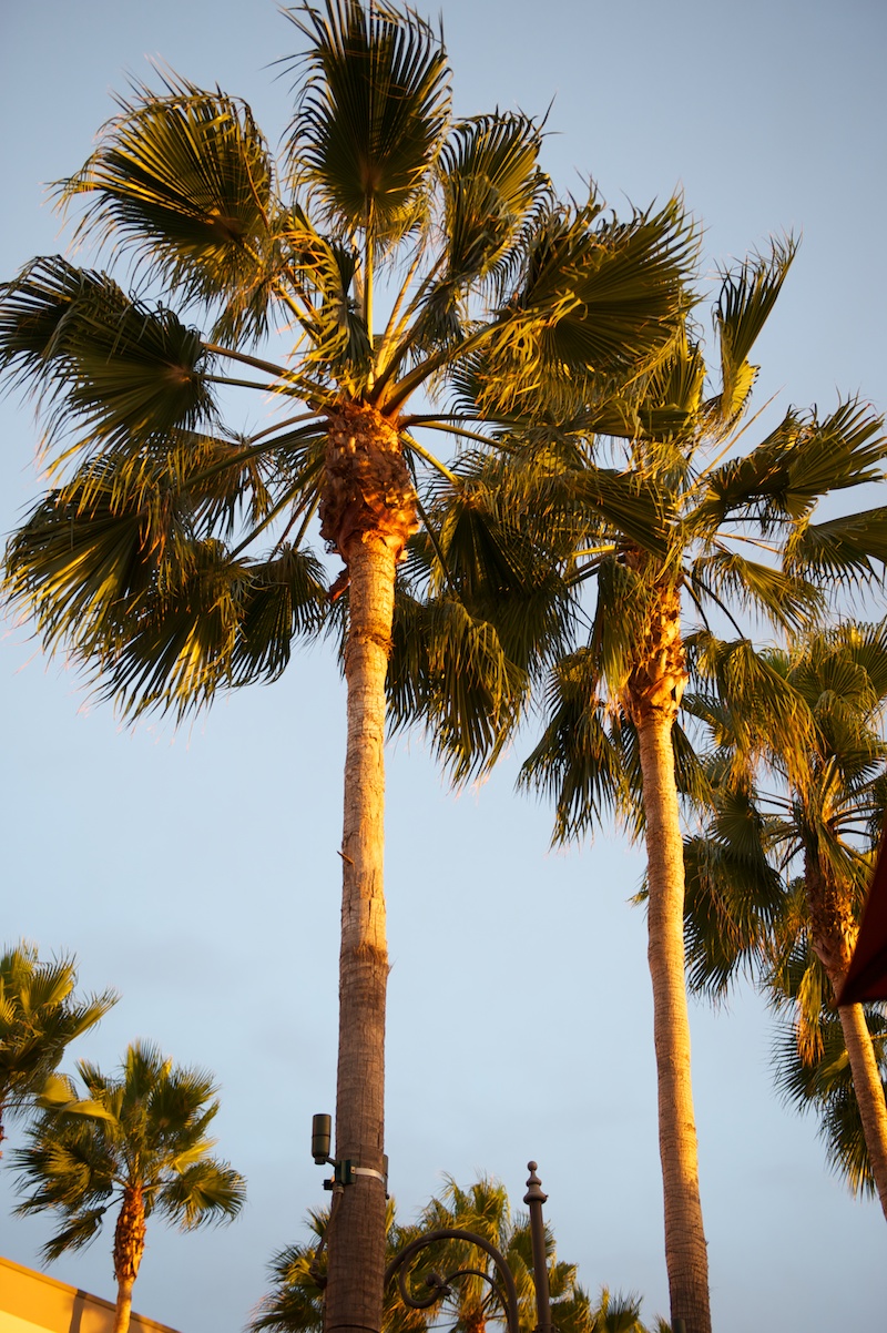 24 Hours in LA