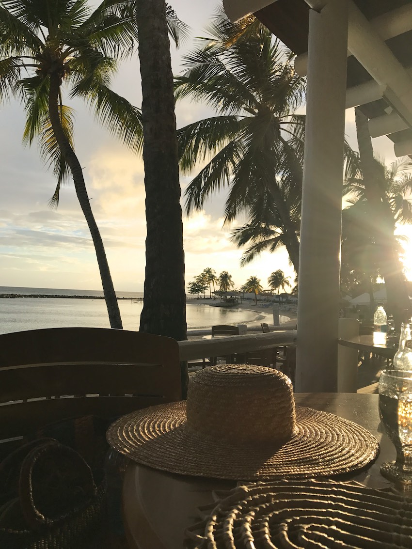 Wide brim straw hats